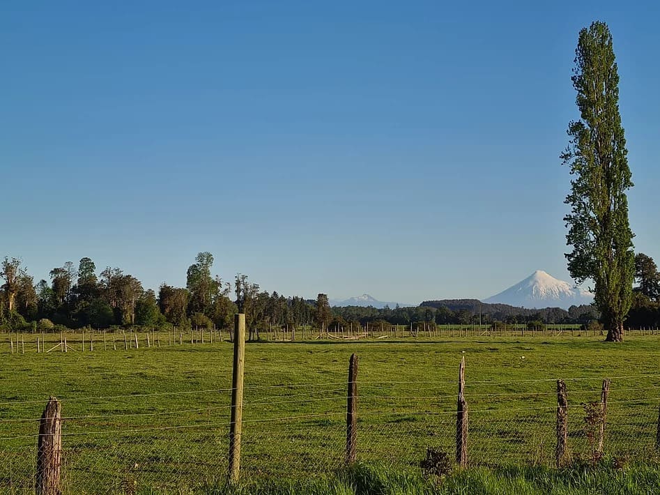 iFase - Praderas El Roble