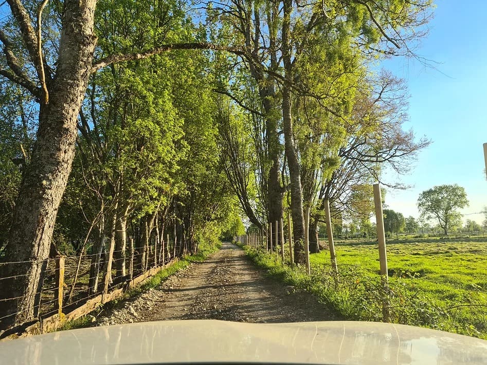 iFase - Praderas El Roble