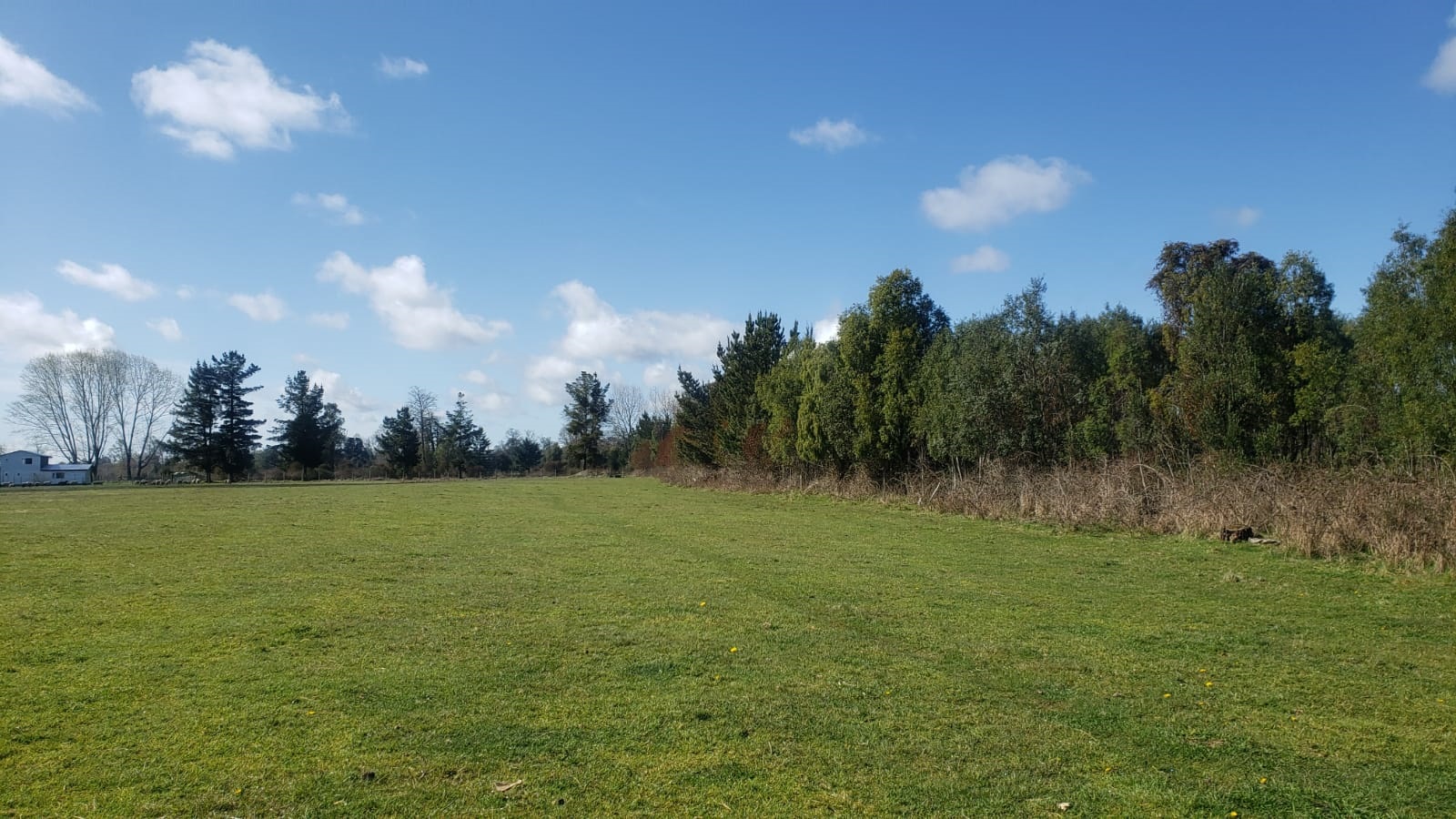iFase - Hacienda Los Maitenes