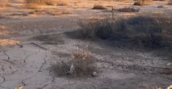 5 Lotes Industriales En Venta En Copiapó