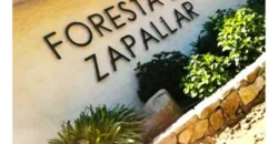 Oportunidad Única!!! Parcela En La Foresta De Zapallar