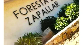 Oportunidad Única!!! Parcela En La Foresta De Zapallar