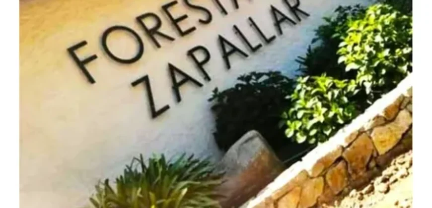 Oportunidad Única!!! Parcela En La Foresta De Zapallar