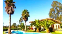 Oportunidad Única!!! Parcela En La Foresta De Zapallar