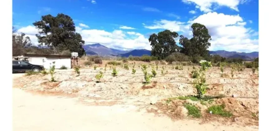 Oportunidad Única!!! Parcela En La Foresta De Zapallar