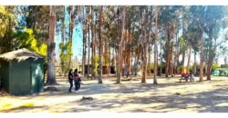 Oportunidad Única!!! Parcela En La Foresta De Zapallar