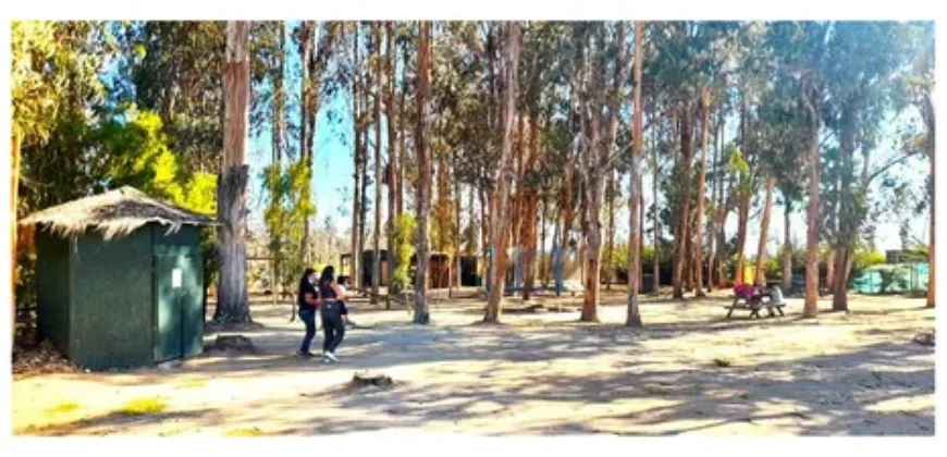 Oportunidad Única!!! Parcela En La Foresta De Zapallar