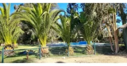 Oportunidad Única!!! Parcela En La Foresta De Zapallar