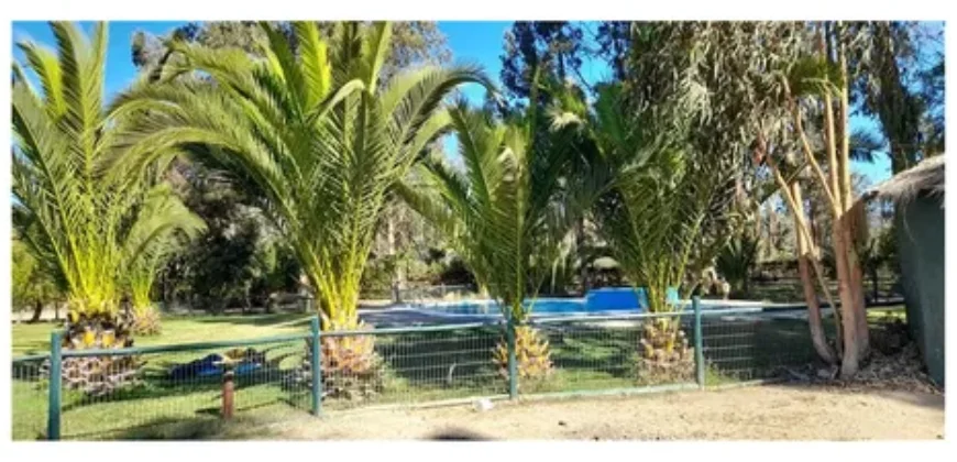 Oportunidad Única!!! Parcela En La Foresta De Zapallar