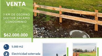 Parcela Tacamó Osorno